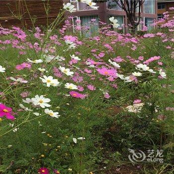 泸沽湖云旅观湖客栈酒店提供图片