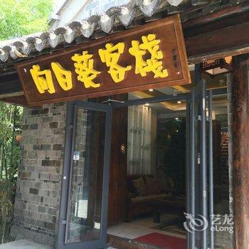 枣庄台儿庄古城向日葵客栈酒店提供图片