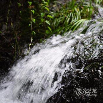 莫干山薰衣草庄园酒店提供图片