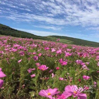 丰宁坝上草原王家大院酒店提供图片