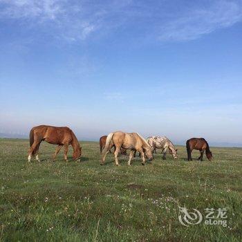 坝上8号院度假村酒店提供图片