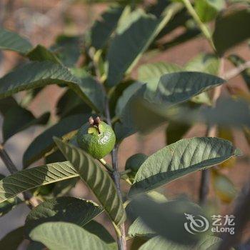 北海涠洲岛向往的生活客栈酒店提供图片