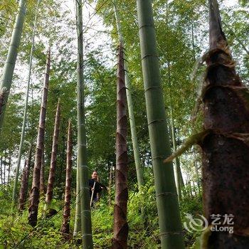 泾县月亮湾归园田居山庄酒店提供图片