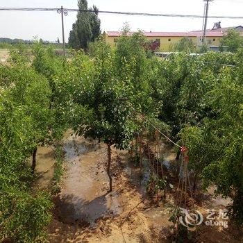 中卫沙坡头田家大院住宿农家乐酒店提供图片