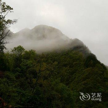 神农架森林一号酒店酒店提供图片