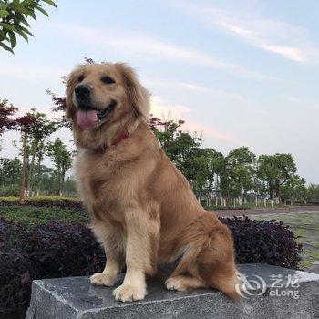 武夷山九龙湾噗素花园别墅酒店酒店提供图片