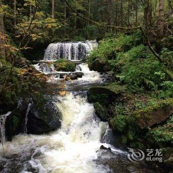 长白山松柏大妈旅饭店酒店提供图片