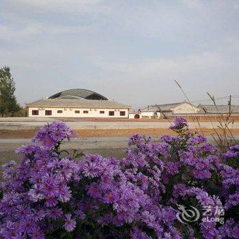 中卫月宫庄园四合院酒店酒店提供图片