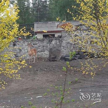 延边长白山朝鲜族旅店酒店提供图片