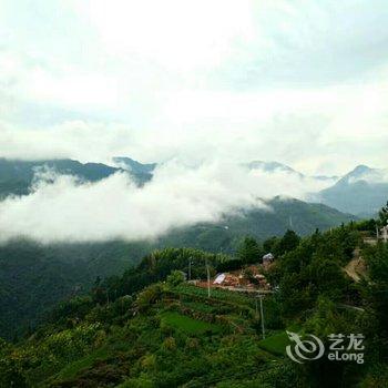 临安大峡谷银杏家园用户上传图片