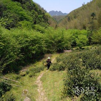 宣城月亮湾竹海客栈酒店提供图片