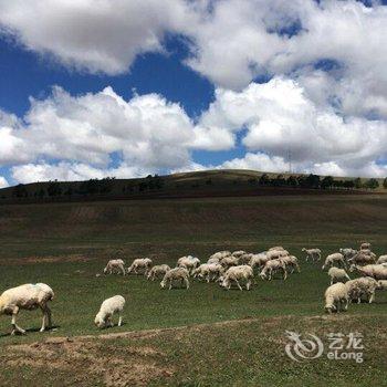 沽源天鹅湖秀水山庄酒店提供图片