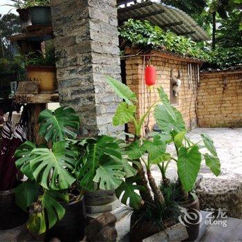 阳朔乡下人家花园酒店用户上传图片