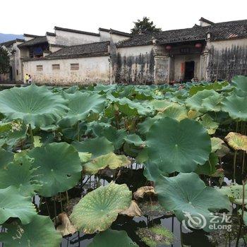 宏村塘山藏客栈酒店提供图片