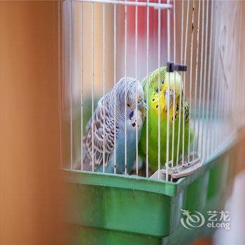 平遥驿雲尹府精品连锁客栈酒店提供图片