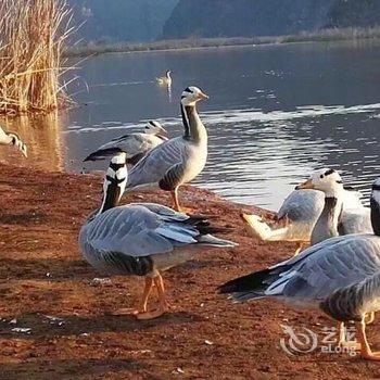 普者黑喳喳呀民族特色客栈酒店提供图片