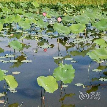 丘北普者黑馨来阁楼客栈酒店提供图片