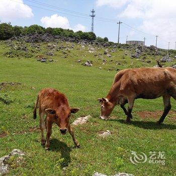 普者黑彩汕塔客栈酒店提供图片