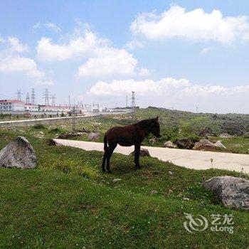 普者黑彩汕塔客栈酒店提供图片