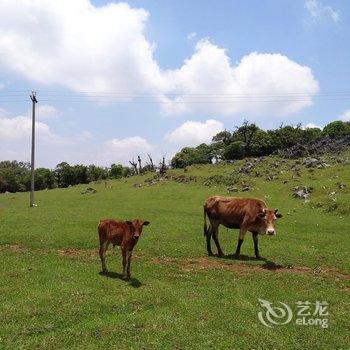 普者黑彩汕塔客栈酒店提供图片