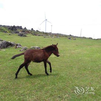 普者黑彩汕塔客栈酒店提供图片