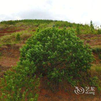 普者黑彩汕塔客栈酒店提供图片