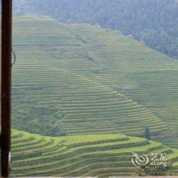 龙胜龙脊金龙山庄酒店提供图片