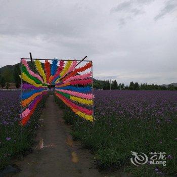 张家口香村农家院酒店提供图片