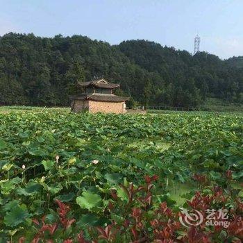 文成迷途武阳民宿酒店提供图片