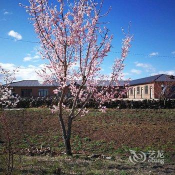 牡丹江篱笆小院住宿酒店提供图片