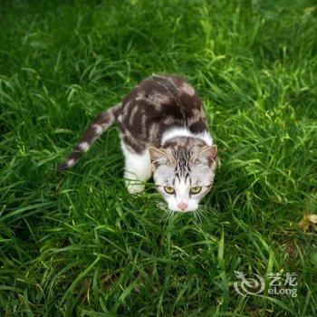 香格里拉画山别院客栈酒店提供图片