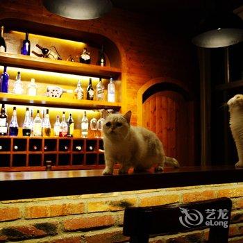 桂林朝阳虹影猫宠公寓酒店提供图片