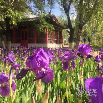 乌鲁木齐蒲公英青年旅舍酒店提供图片