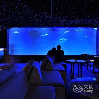 哈尔滨鲨鱼酒店酒店提供图片