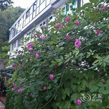 雁荡山画眉山庄酒店提供图片