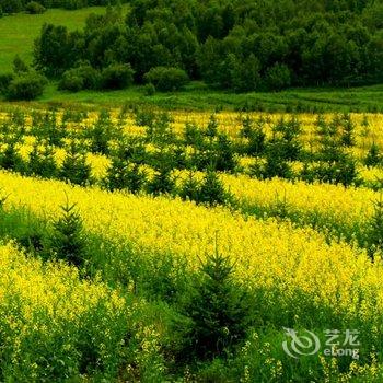 阿尔山哈拉哈宾馆酒店提供图片