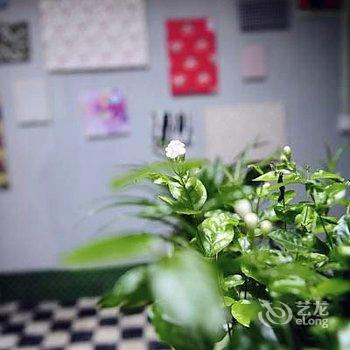 阳朔时光客栈酒店提供图片