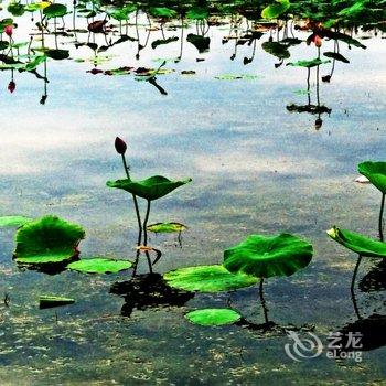 宁夏沙湖假日酒店酒店提供图片