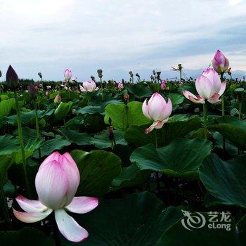 宁夏沙湖假日酒店酒店提供图片