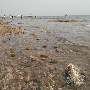 葫芦岛近海海景公寓日租房酒店提供图片