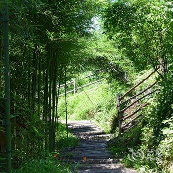 千岛湖青溪山居民宿酒店提供图片