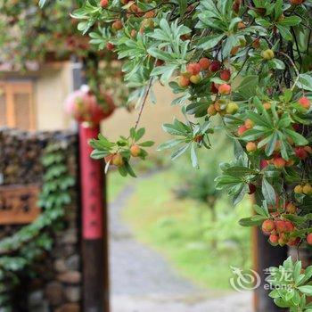 千岛湖青溪山居民宿酒店提供图片