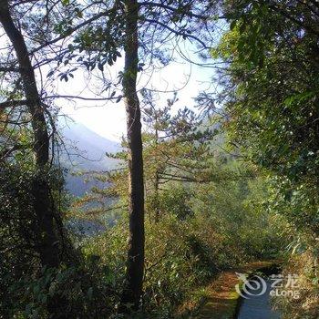 安吉源乡山居客栈酒店提供图片