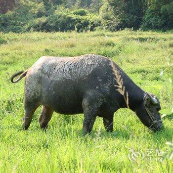 莫干山余福楼客栈酒店提供图片