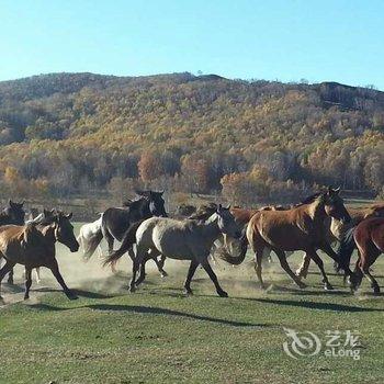 围场温馨家庭公寓酒店提供图片