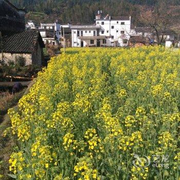 婺源缘园客栈酒店提供图片