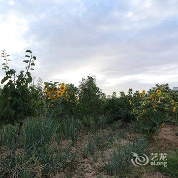 中卫胜苑润居酒店提供图片