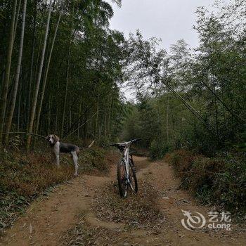 莫干山尉家小院酒店提供图片