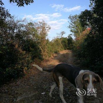 莫干山尉家小院酒店提供图片