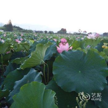 仙居河塘王月萍农家乐酒店提供图片